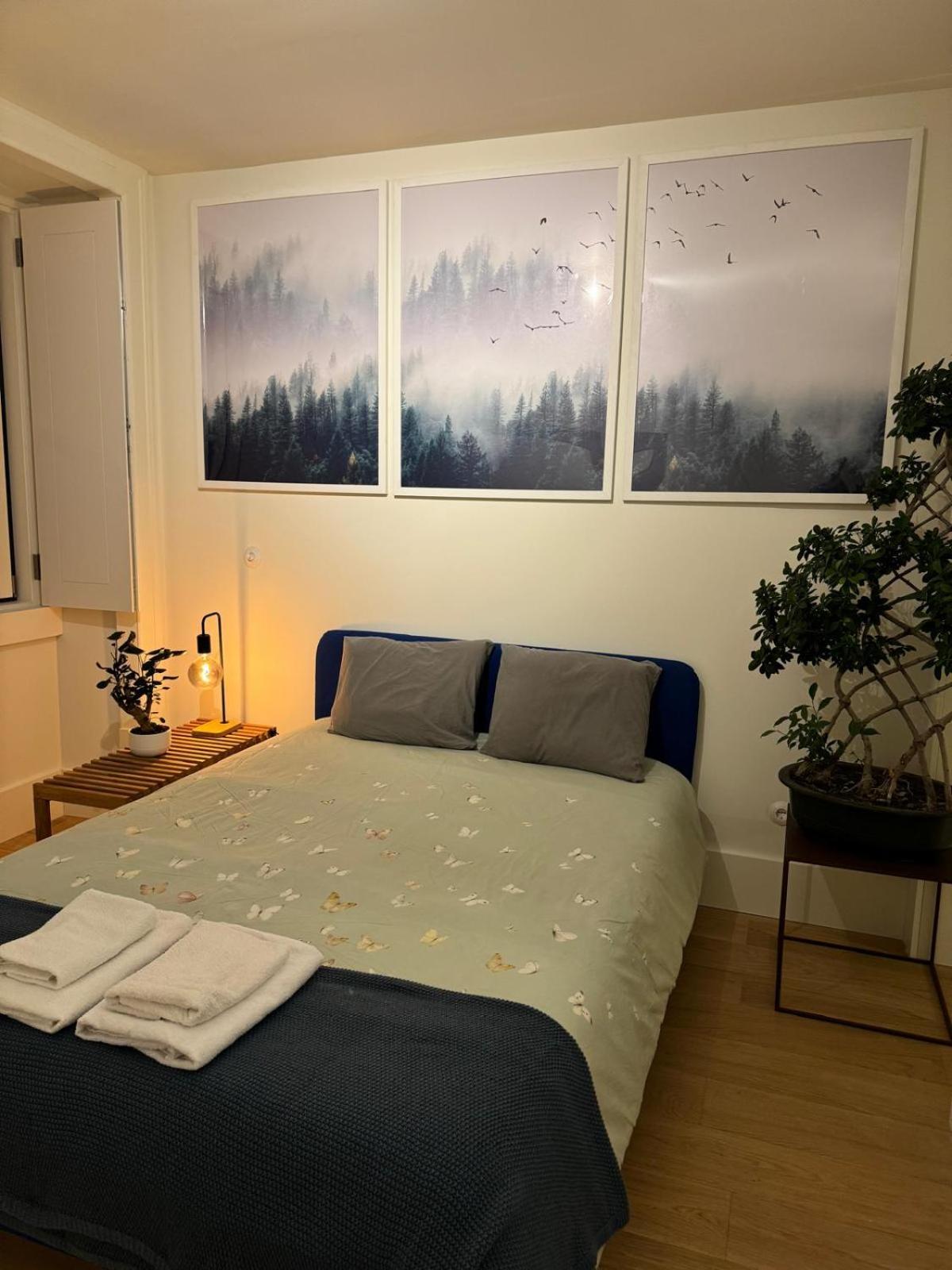 Homestay Magnifico Com Wc Privativo Augusta Street *