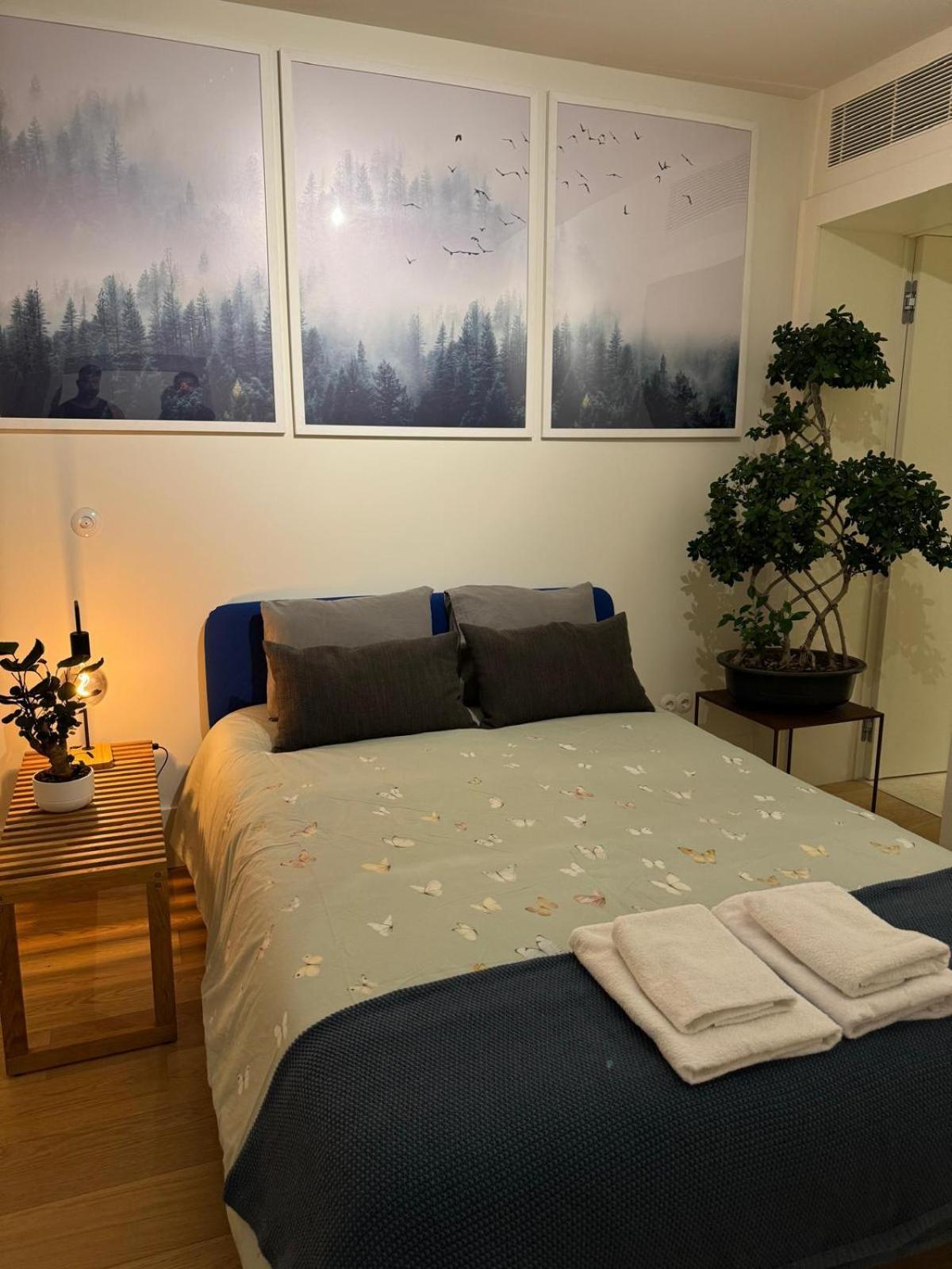 Homestay Magnifico Com Wc Privativo Augusta Street *