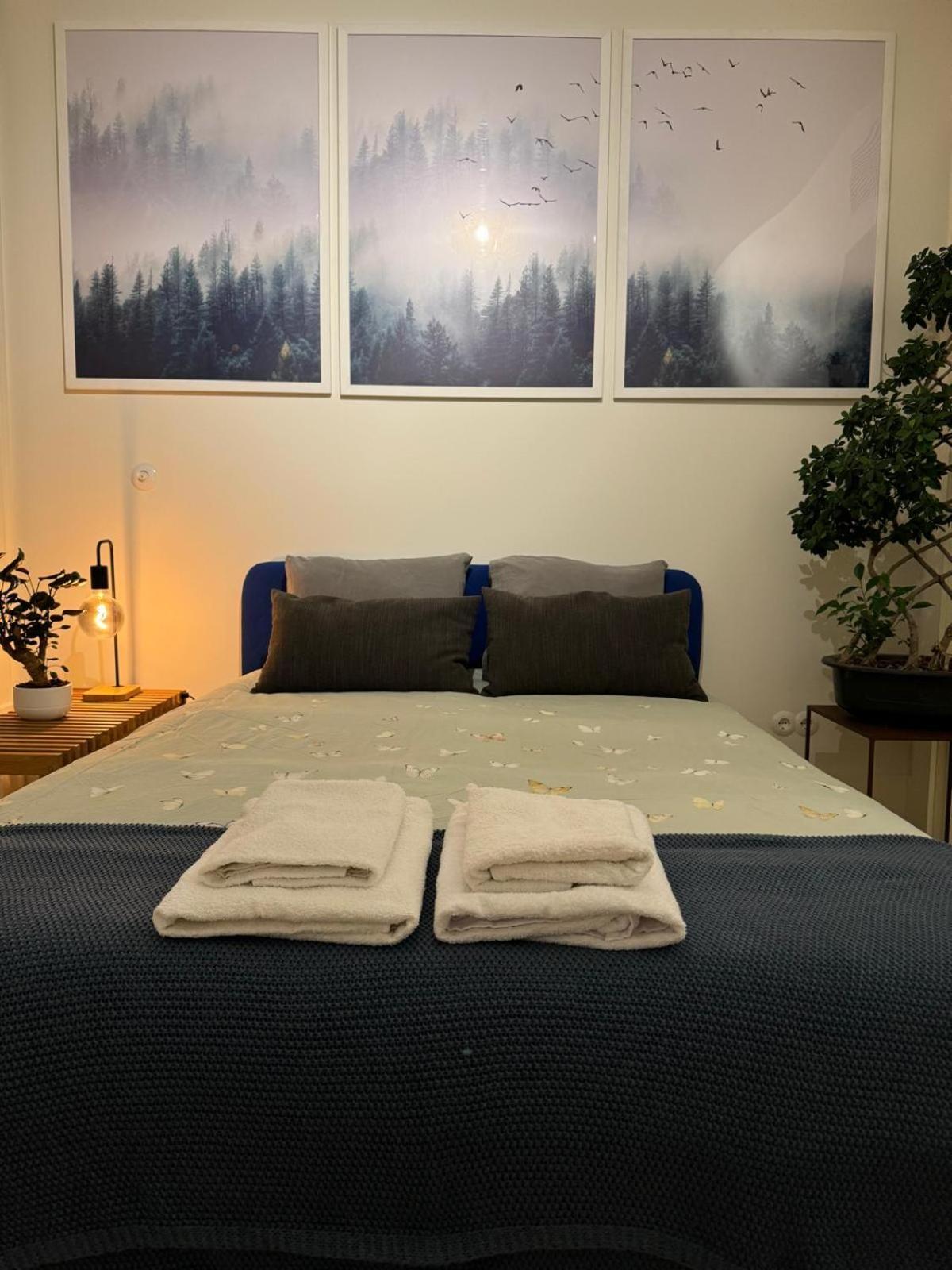 Magnifico Com Wc Privativo Augusta Street Homestay Lisbon