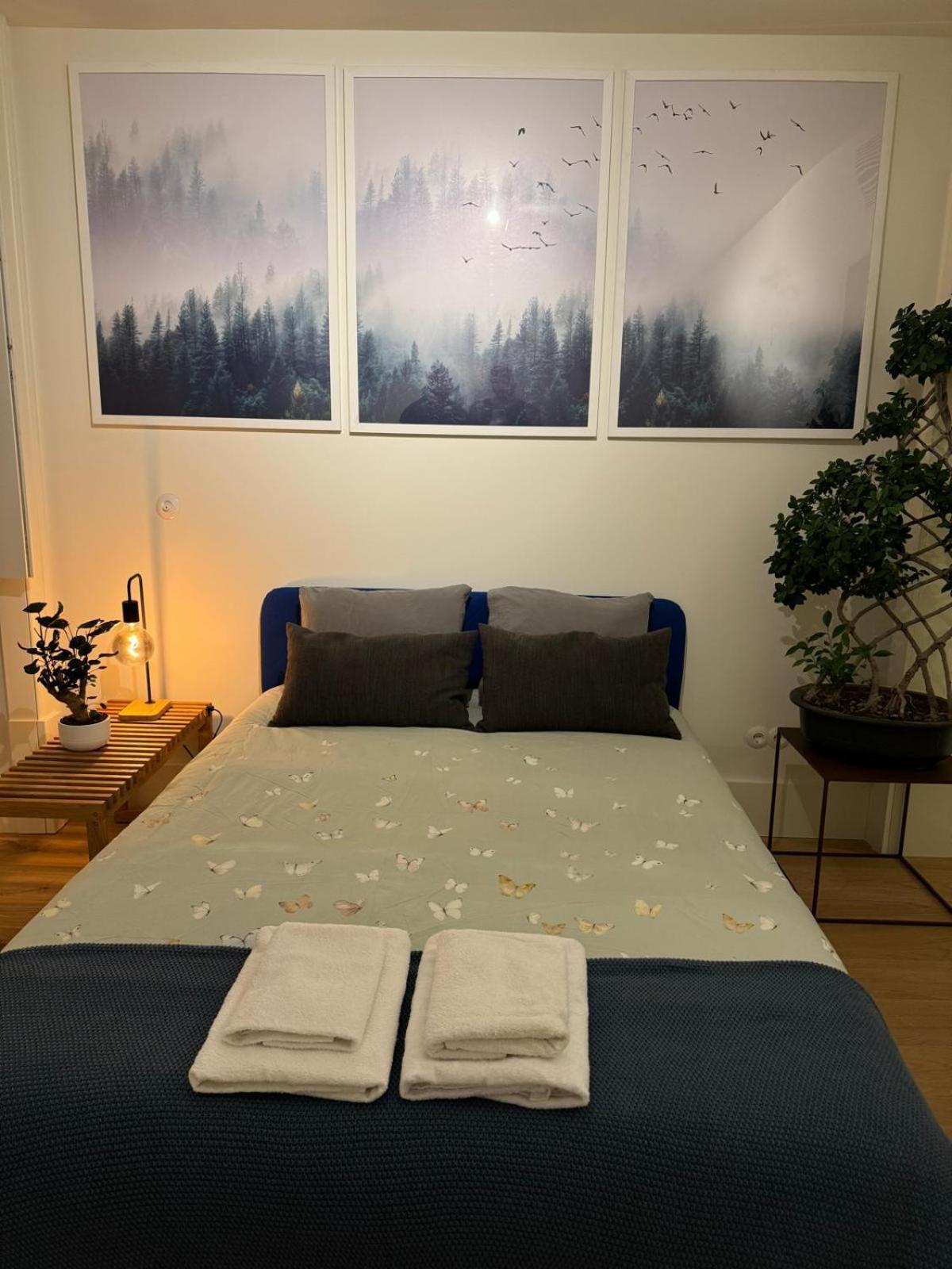 Homestay Magnifico Com Wc Privativo Augusta Street