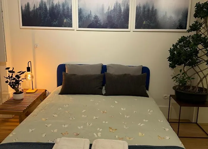Magnifico Quarto Com Wc Privativo Augusta Street